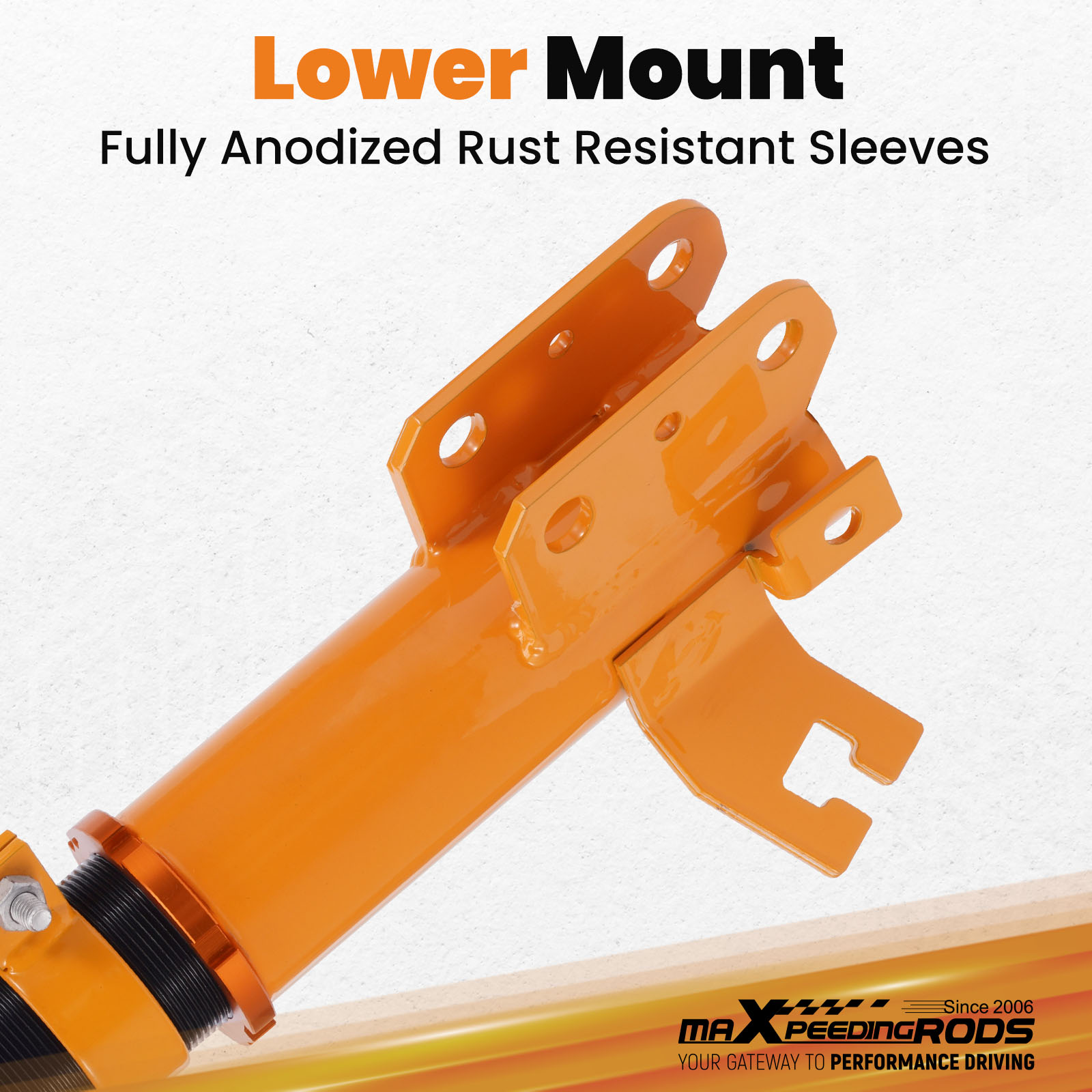 コロンビア産　キプリスモルフォ 111mm Amazon.com: Monroe Magnum 66451 Suspension Shock Absorber