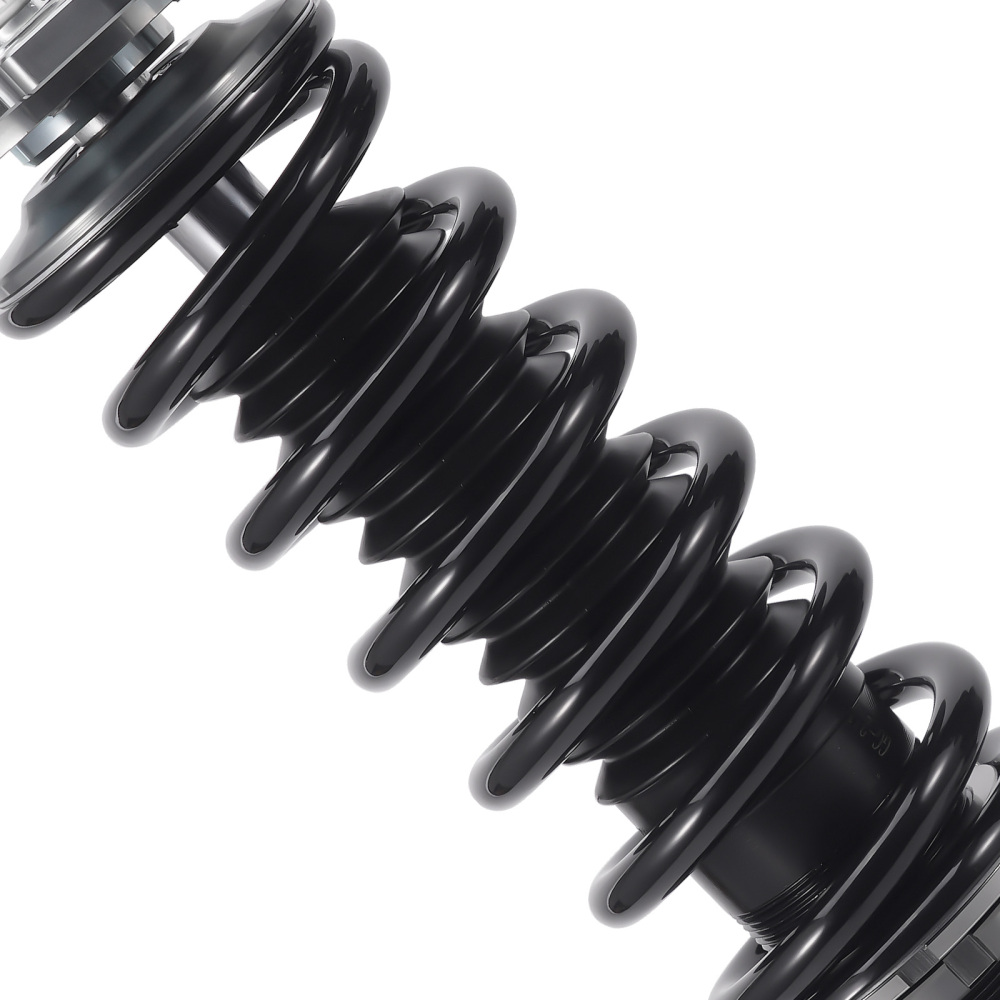 Compatible for Buick 97 - 09 Adjustable Height Shock Absorber Grey Tuning Coilover Kits lowering kit