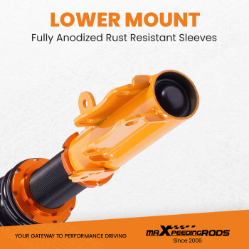 Compatible for Toyota Camry 1992-2001 Solara Avalon 1995-2003 Coilover Spring Shock StrutsLowering Kit