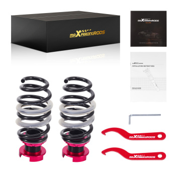 24 Levels Coilovers Shocks Springs Kit compatible for Honda Civic 17-21 5dr. Hatchback