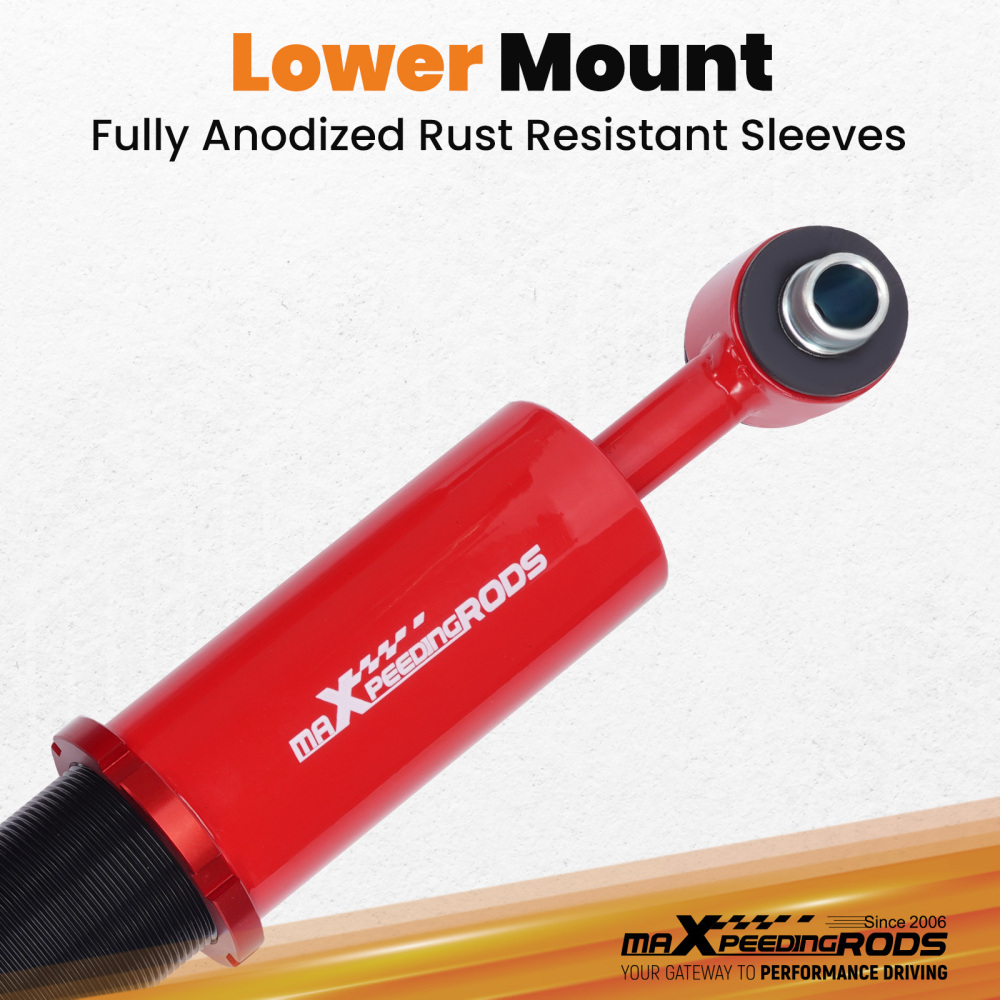 Suspensión Amortiguador Shock compatible para BMW E60 520 523 525 530 535 540 550 M5 03-10