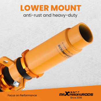 Upgrade Coilover Spring Shock Struts compatible for BMW Z4 E85 Roadster + Coupe Lowering Kit