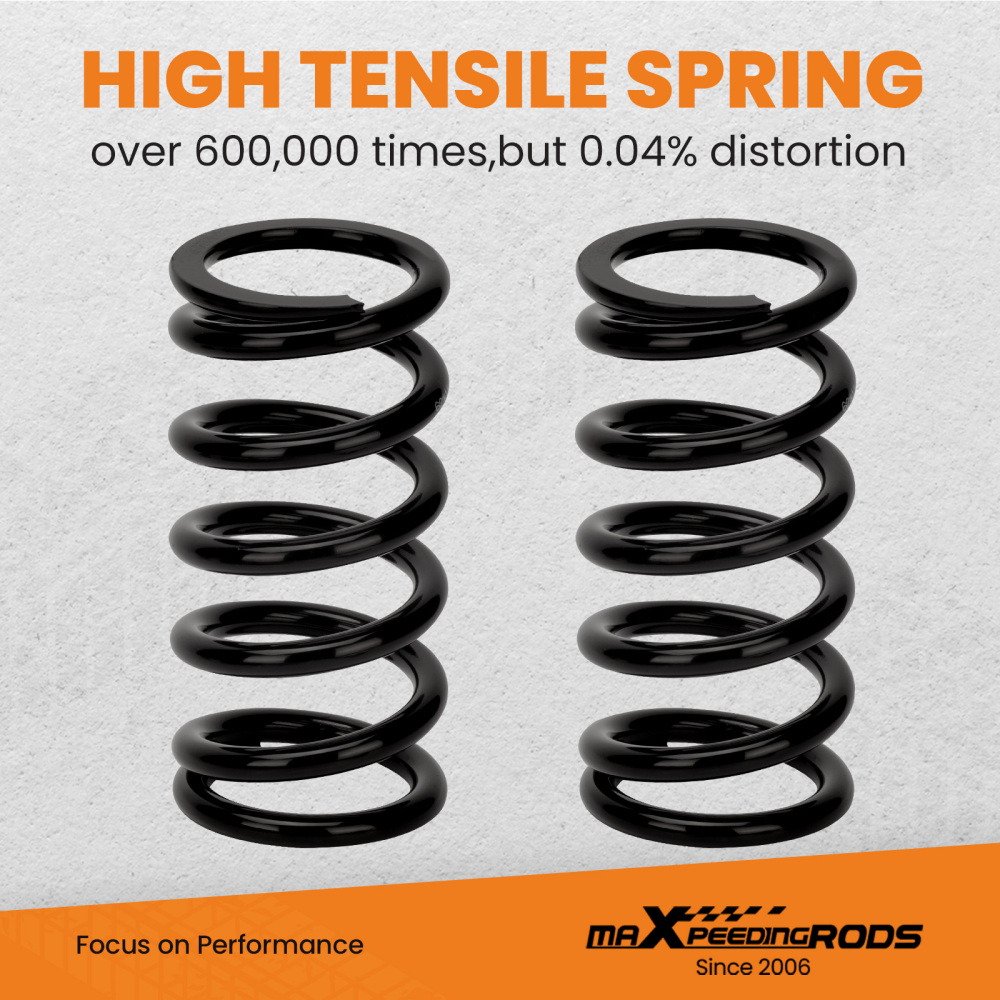 Ammortizzatore Coilover Kit Sospensioni compatibile per Mitsubishi Lancer EVO 7 8 9 CT9A NUO Lowering Kit