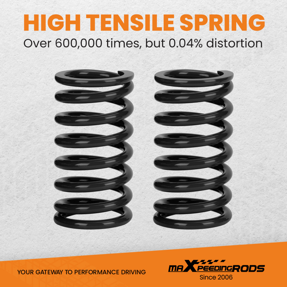 Performance Coilovers compatible for Lexus IS250 IS350 GSE20 GSE21 2006-2013 GS300