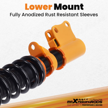 2 pieces f suspension Coilovers kit compatible pour Holden Commodore VY VT amortisseur