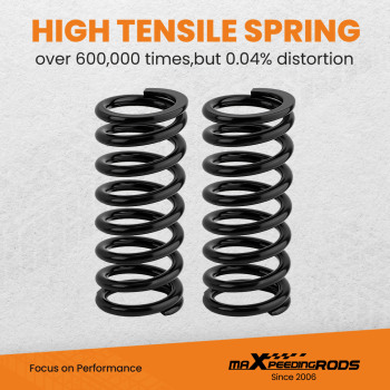 amortisseur pour ressort de suspension compatible pour HOLDEN Commodore VY VT Coilover