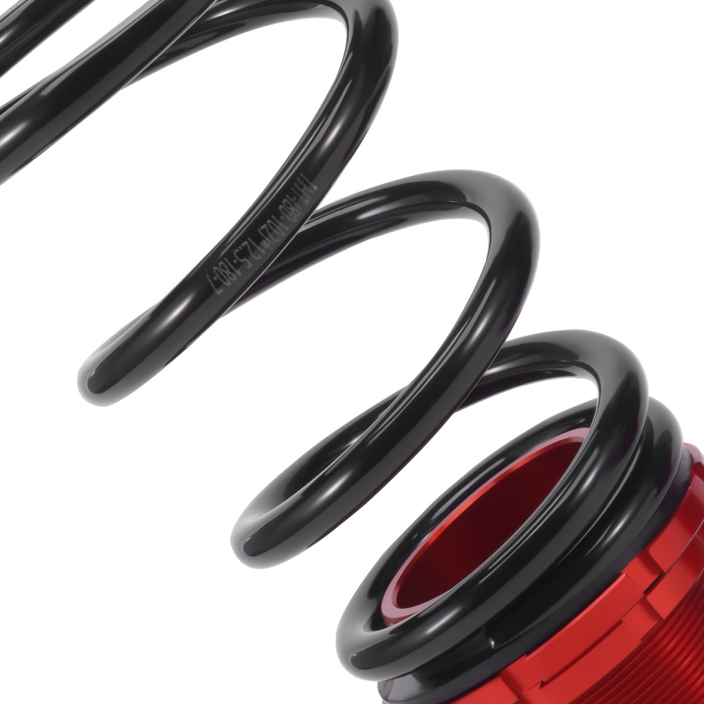 Rear Coilovers compatible for Ford MUSTANG 99-04 Suspension Kit Adjustable Damper