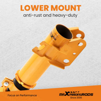 Coilovers Suspension Damper Kits compatible for Nissan Altima 2002-2006 Maxima 04-08 Shocks	 Lowering Kit