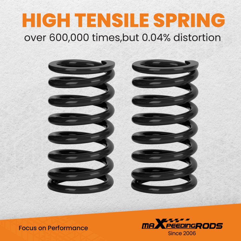 Coilovers Lowering Suspension Kit compatible for Mazda RX-8 RX8 2004-2011 Adj. Damper