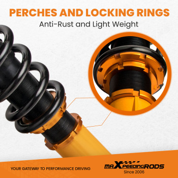 24 Way Damper Adjustable Coilover Lowering Kit Compatible for Dodge Charger 06-10 SRT-8 RWD