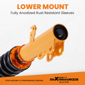 Gold Full Coilover Struts Shock Suspension Kit For 2005-2010 compatible for Scion Tc Adj Height lowering kit