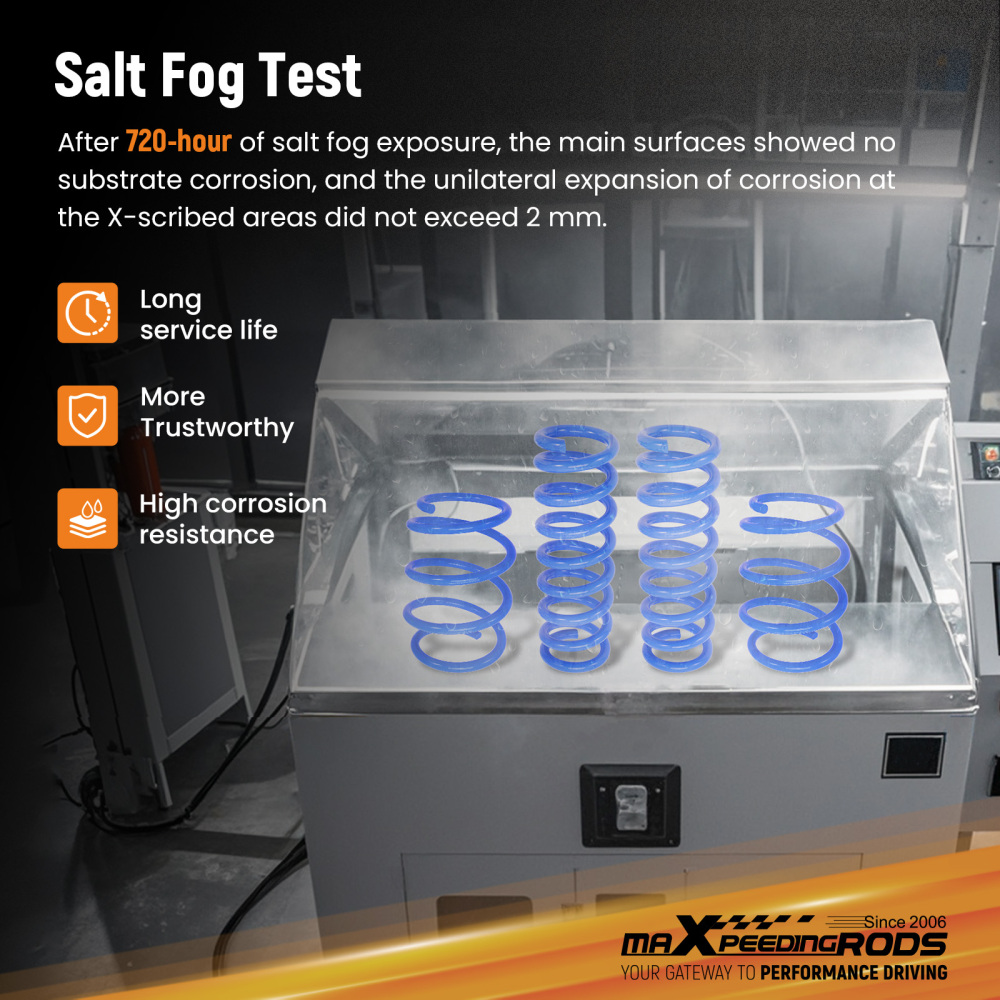 Kit Molle Ribassate compatibile per BMW Serie 3 F30 Berlina 2012-2018 320i 328i 335i 340i