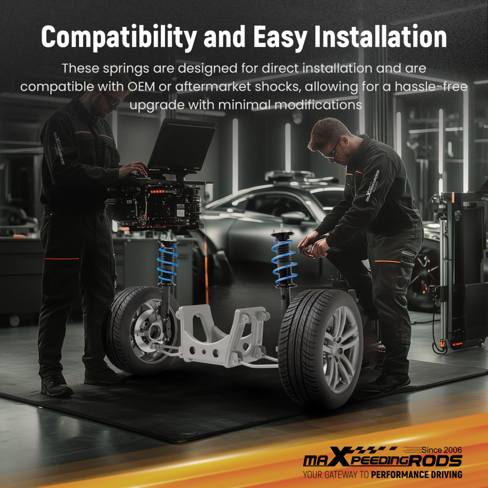 Kit Molle Ribassate compatibile per BMW Serie 3 F30 Berlina 2012-2018 320i 328i 335i 340i