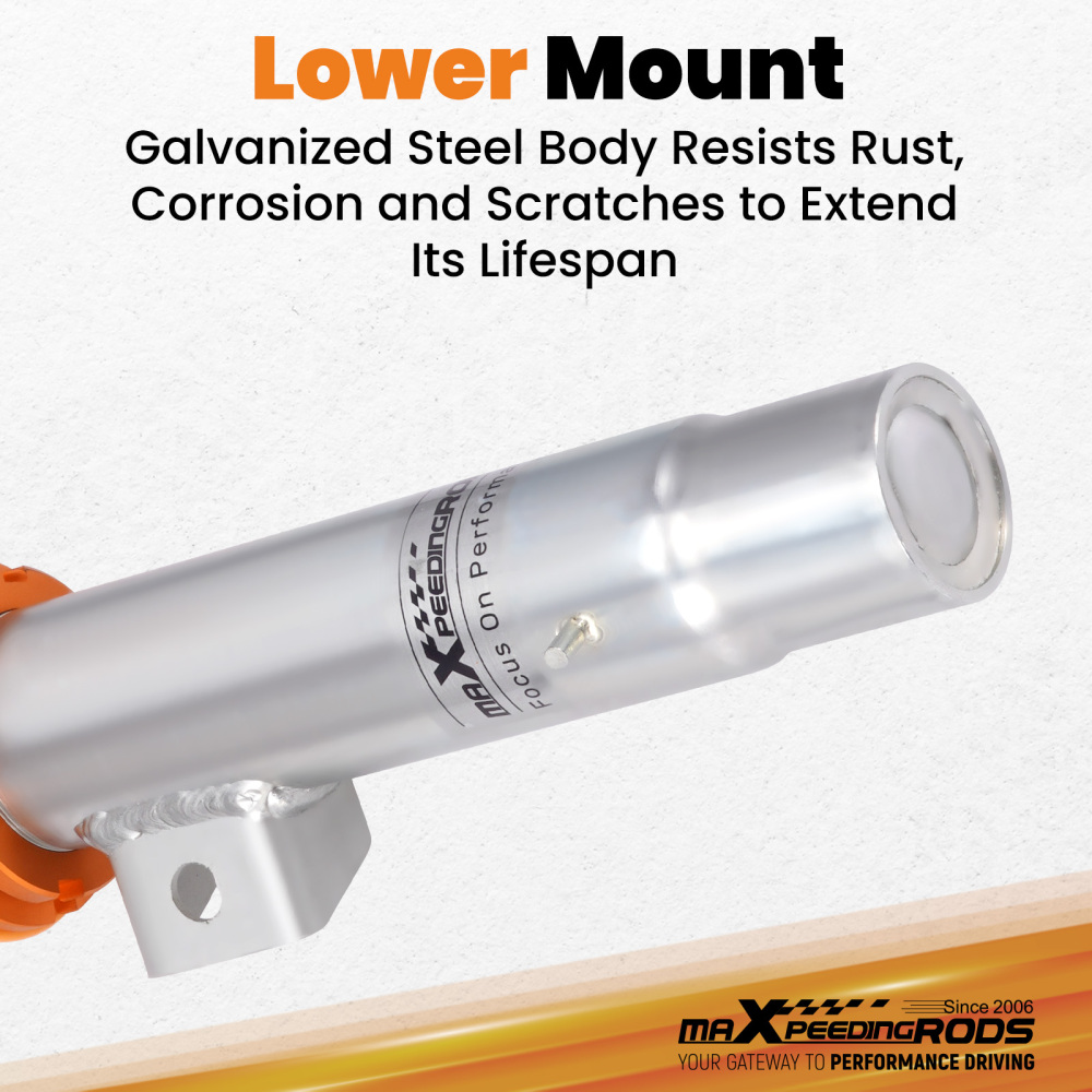 Compatible for BMW E46 3 Series 320i 330i M3 98-06 Street Coilover Suspension 