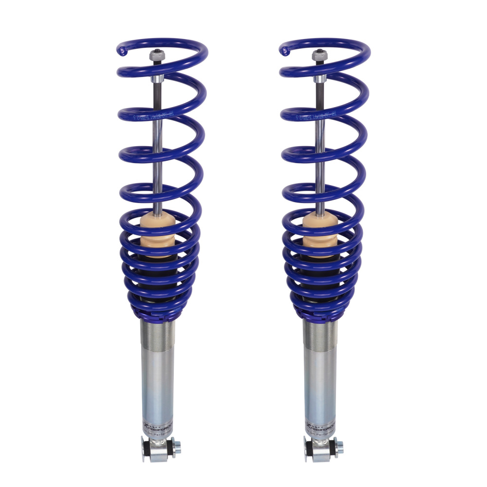 Shock Sospensione Regolabile Coilovers compatibile per BMW Serie 5 E39 520 530 525 528 540 Lowering Kit