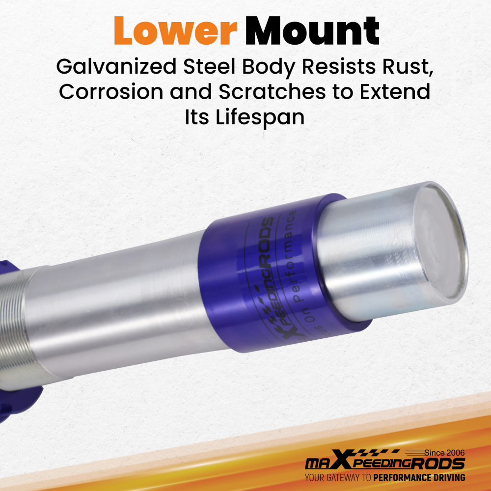 Shock Sospensione Regolabile Coilovers compatibile per BMW Serie 5 E39 520 530 525 528 540 Lowering Kit