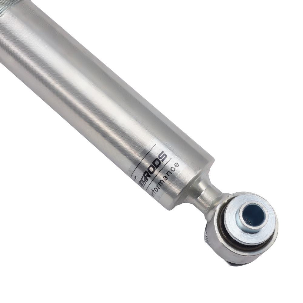 Coilover Kit compatibile per BMW 5 Saloon E39 520i, 523i, 525i, 528i, 530i Lowering Kit