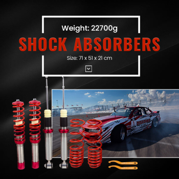 Compatible for Bmw e39 5 Series Sedan530D (1995-2003) Coilovers Shock Sruts Kit  Lowering Kit