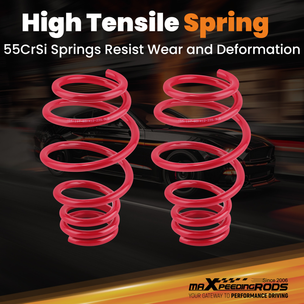 Coilovers Suspension Kit compatible for VW Golf Mk5 MK6 Hatchback 1.9 2.0 TDi 03-12 compatible for Audi 8P Lowering Kit