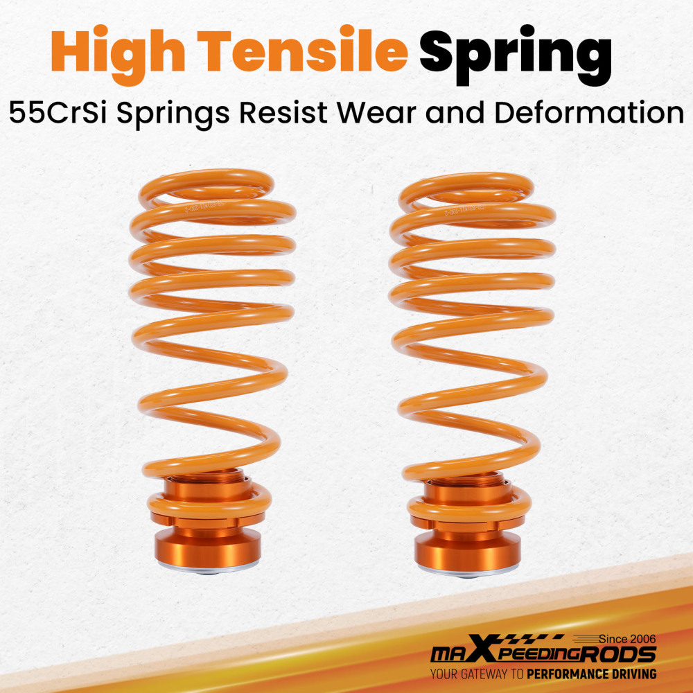 Suspension compatible for Volkswagen Polo MK4 9N /Compatible for SKODA FABIA MK1 Coilovers Absorber Shock Lowering Kit