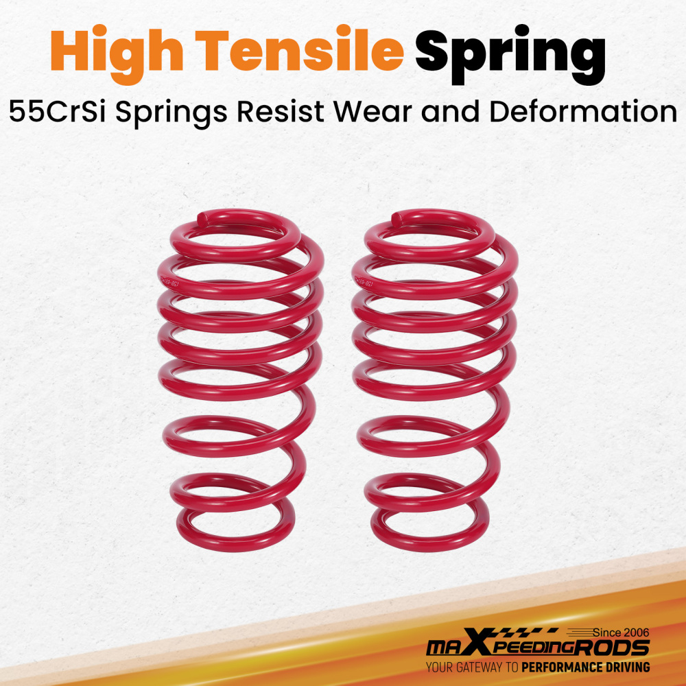 Coil Spring Suspension Absorber Coilovers Kit compatible for Volkswagen POLO MK4 01-14 Lowering Kit