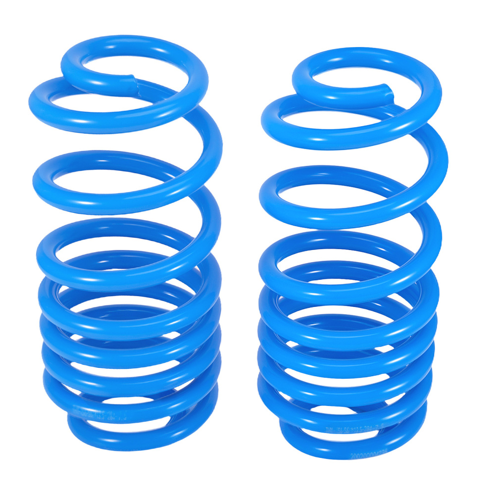 Molle Assetto compatibile per AUDI A3 Sportback (8PA) 2004-2013 quattro S3 RS3 Abbassamento