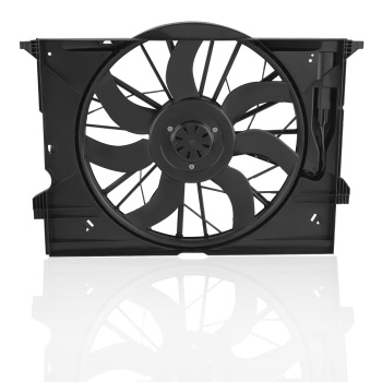 Engine Cooling Fan Assembly 600W compatible for Mercedes W211 E320 E350 E550 W219 CLS350