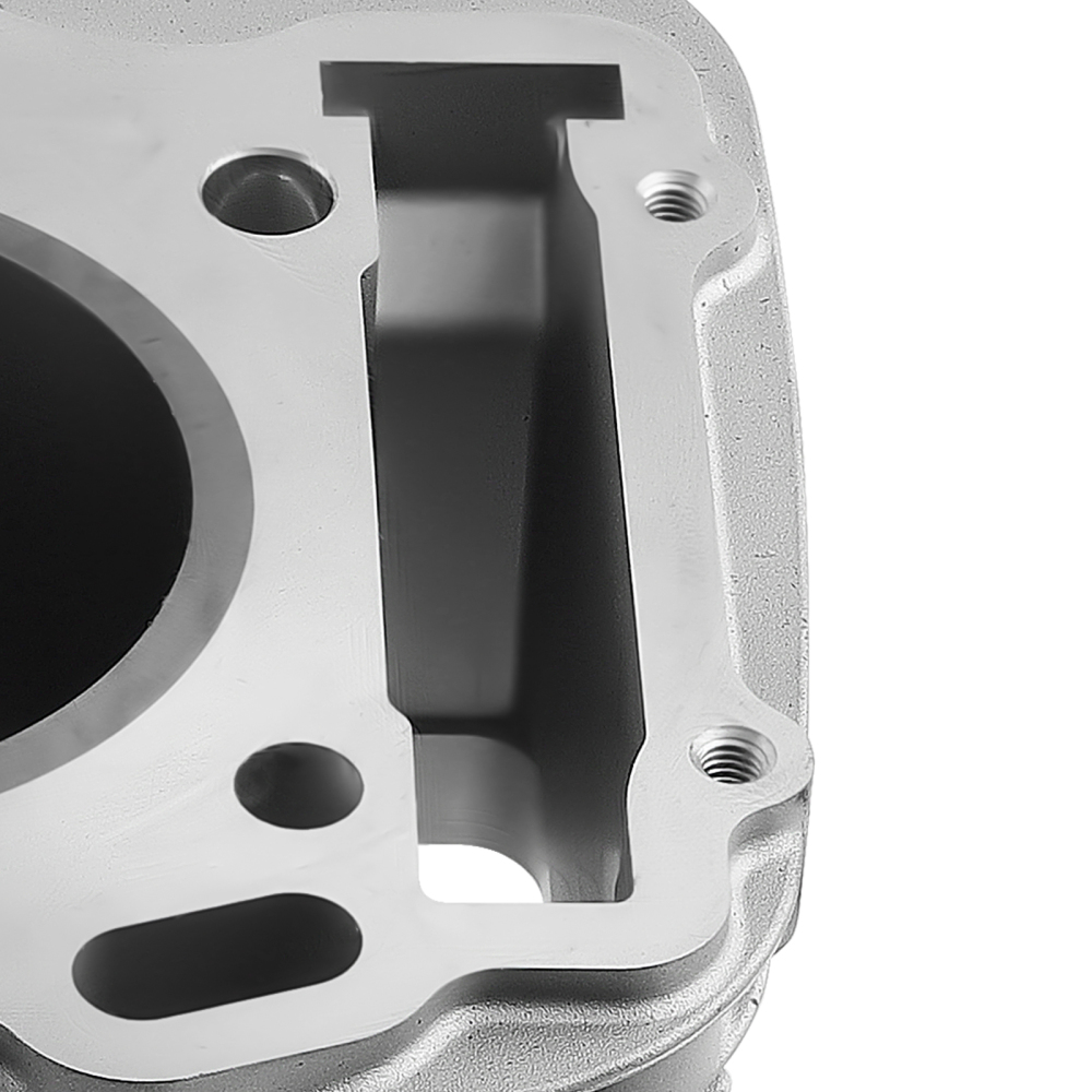 Cylinder Piston Top End Rebuild Kit compatible for Honda Sportrax 300 TRX300EX 2X4 93-08