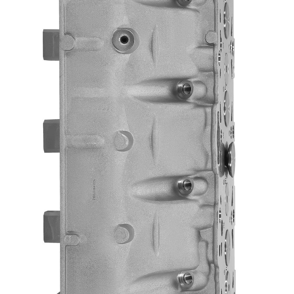 Testa cilindro completa compatibile per Audi VW Seat Skoda 1.9 TDI, 2.0 TDI ARL ASZ BKC AJM