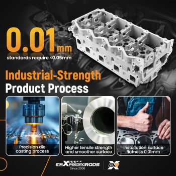 Cylinder Head Kit compatible for Nissan Navara D40 D22 compatible for CABSTAR F24M F24W 11040EB300 908510