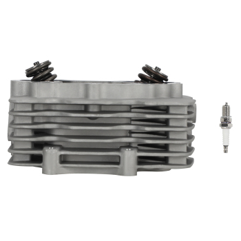 Cylinder Head compatible for Honda TRX250EX TRX250X 03-14 TRX250 Recon 250 TE compatible for TM 2002-2014