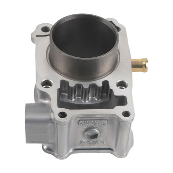 Kit Cilindro Pistone 58mm 124cc compatibile per Honda CBR125R 2004-2017 FS125 Sonic 01-2008