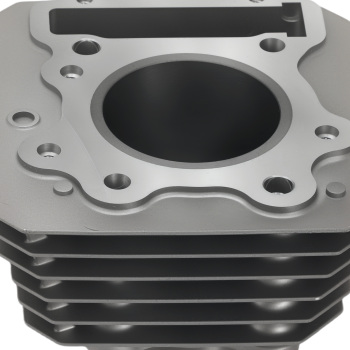 Cylinder Top End Rebuild Kit compatible for Honda 1988-2000 TRX 300 Fourtrax FW 4x4 2x4