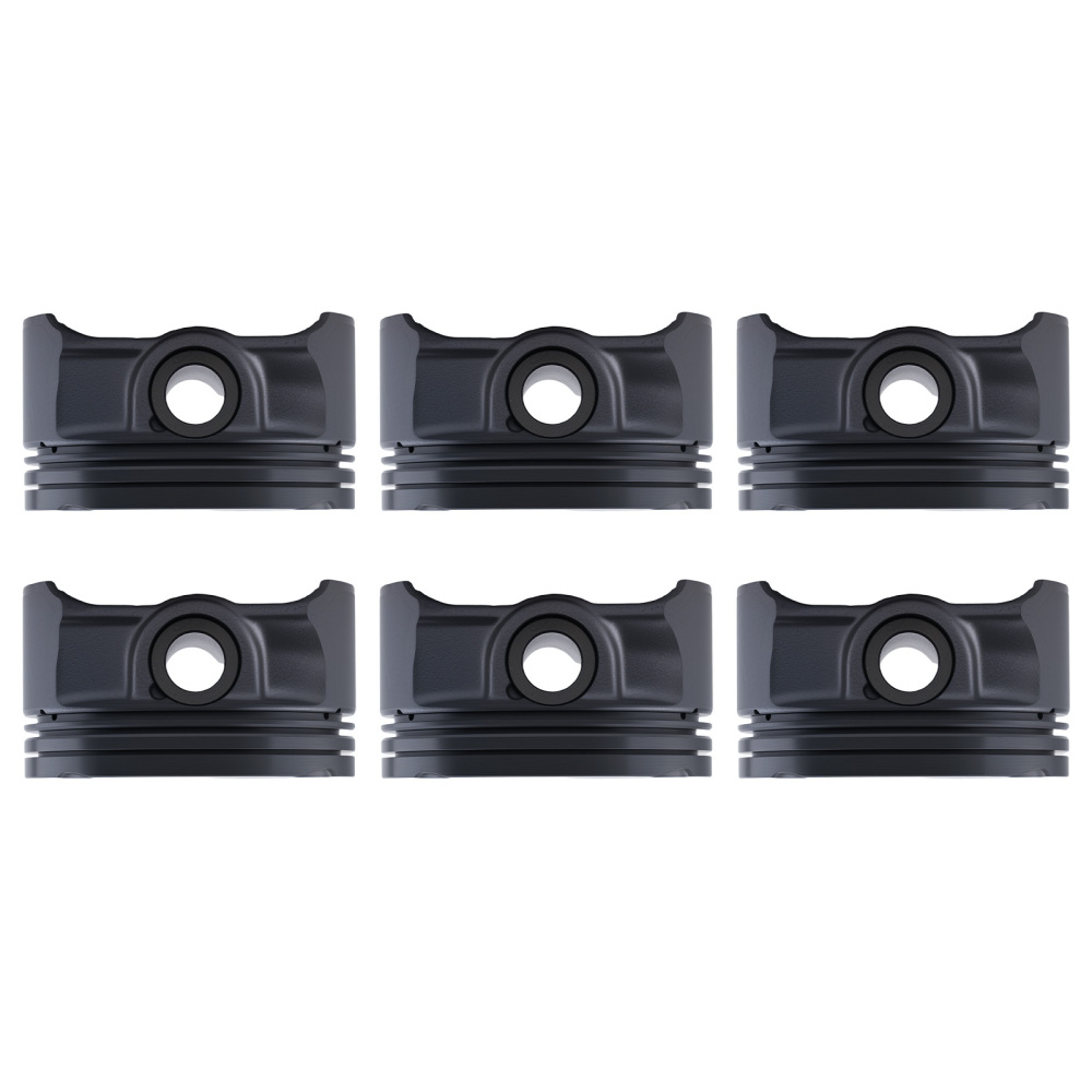 6pcs PistonsRings Set 11257512526 compatible for BMW E46 E39 E60 E83 E85 M54 B25