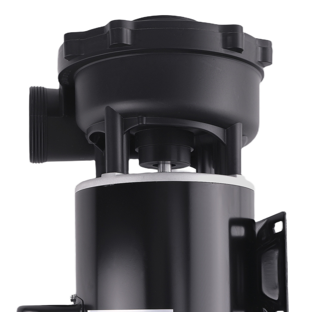 Heavy Duty 4HP Pool Motor 230V Two Speed for Swimming Pool System 37216211D