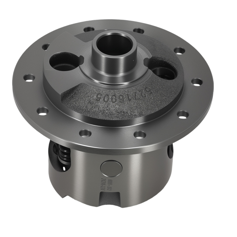 Limited-Slip Posi Unit - 28 Spline 10 Bolt compatible for Chevy 1965-1972 8.2 19603-010