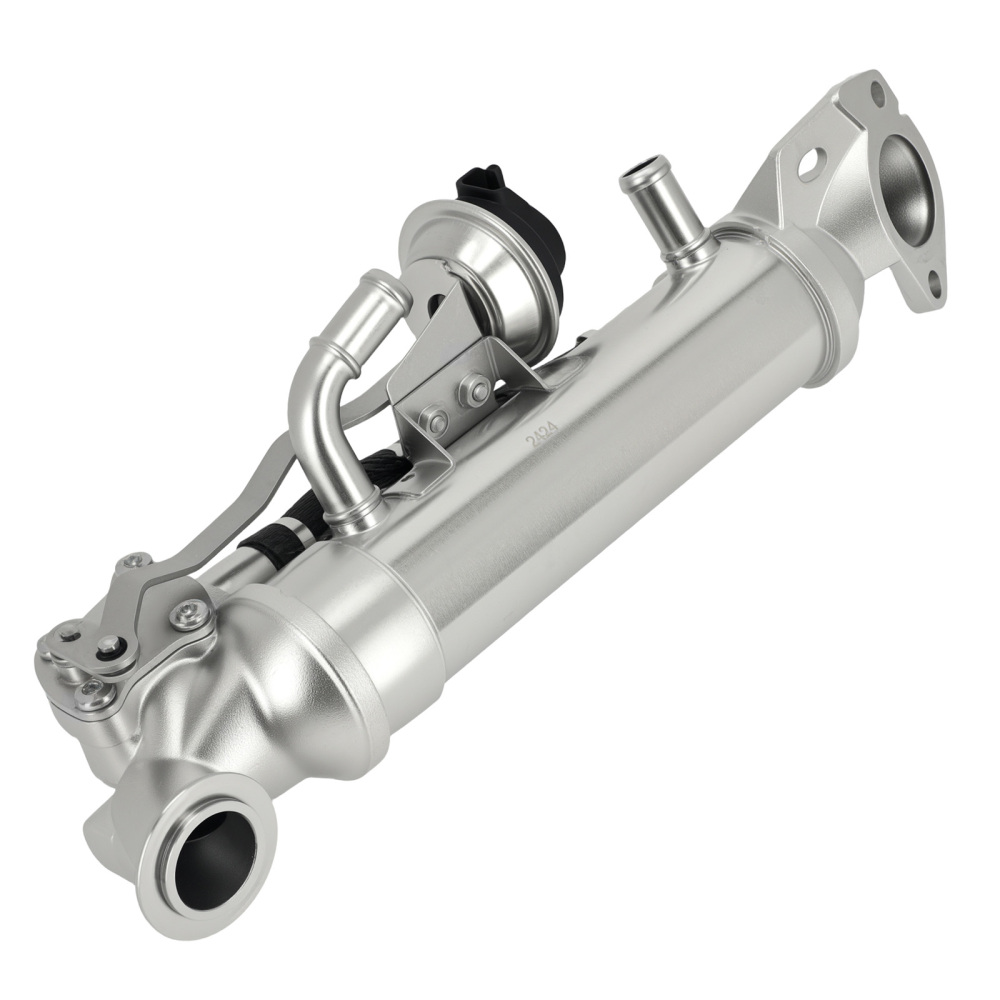 Radiatore Valvola Scarico compatibile per Ford Ranger TKE 2.2 3.2 TDCi 2011- 1911027