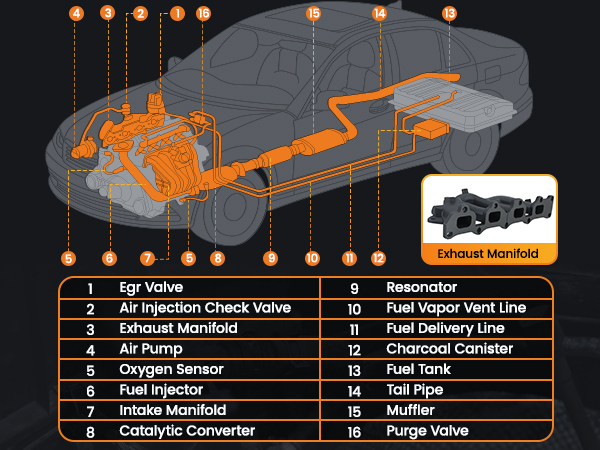 Compatible for BMW m57n Exhaust Manifold Iron E60 E61 E65 X5 2.5d 325d 330d 525d 530d