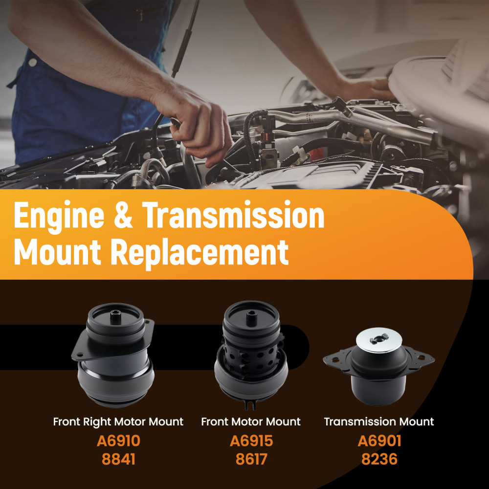 Set Supporti Motore compatibile per VW Multivan T5 1.9 2.0 2.5 TDI TSI Anteriore Posteriore