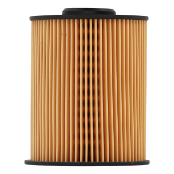 Fuel Filter compatible for Blue Bird Buses Champion compatible for Cummins Dodge Ford 1997-2016 FS19856