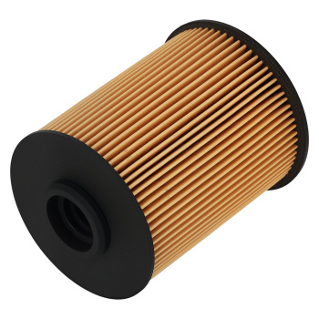 Fuel Filter compatible for Blue Bird Buses Champion compatible for Cummins Dodge Ford 1997-2016 FS19856