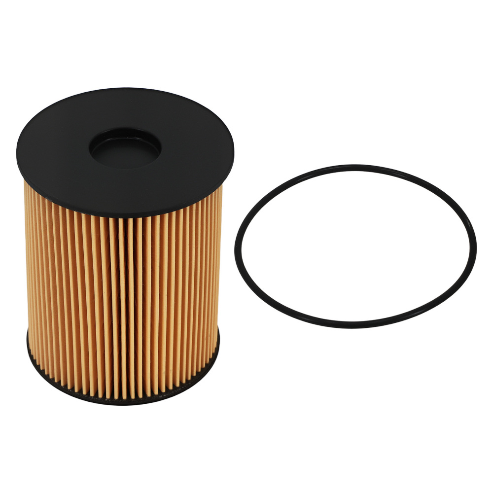 Fuel Filter compatible for Blue Bird Buses Champion compatible for Cummins Dodge Ford 1997-2016 FS19856
