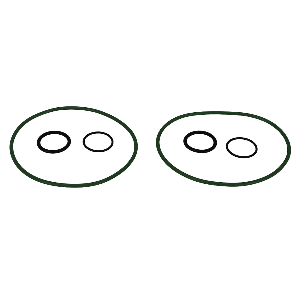 2 Pack Fuel Filter for Detroit Diesel DD13 DD15 DD16 P551011 33655 CS11122