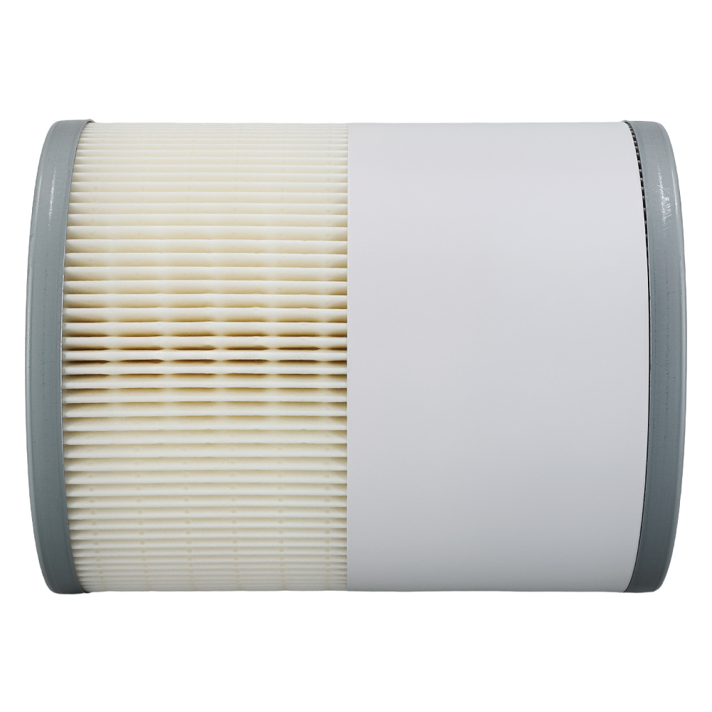 2 Pack Fuel Filter for Detroit Diesel DD13 DD15 DD16 P551011 33655 CS11122