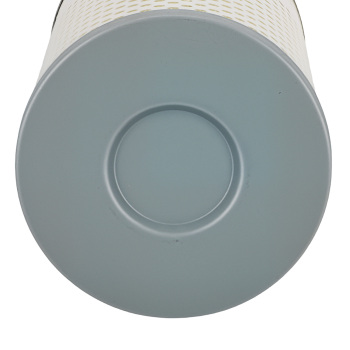 2 Pack Fuel Filter compatible for Freightliner Cascadia 125 2008-2020 FF5369W FF5369