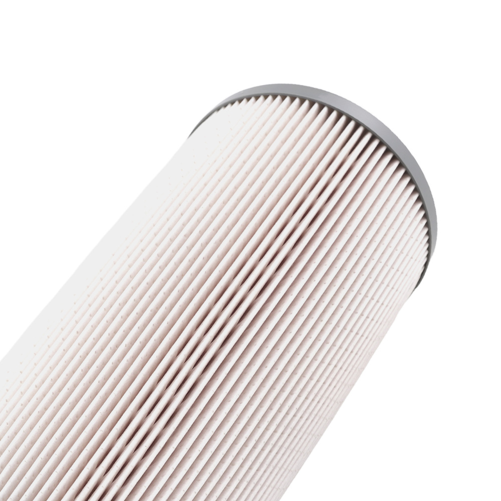 Fuel Filter compatible for KENWORTH T680/Compatible for Peterbilt 579 L5113F K37-1021 FS20207 12pc