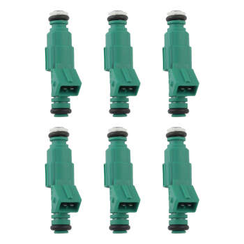 Compatible for Holden Statesman Commodore VQ VP VR VS VT VU VX VY V6 3.8L 6 Fuel Injector