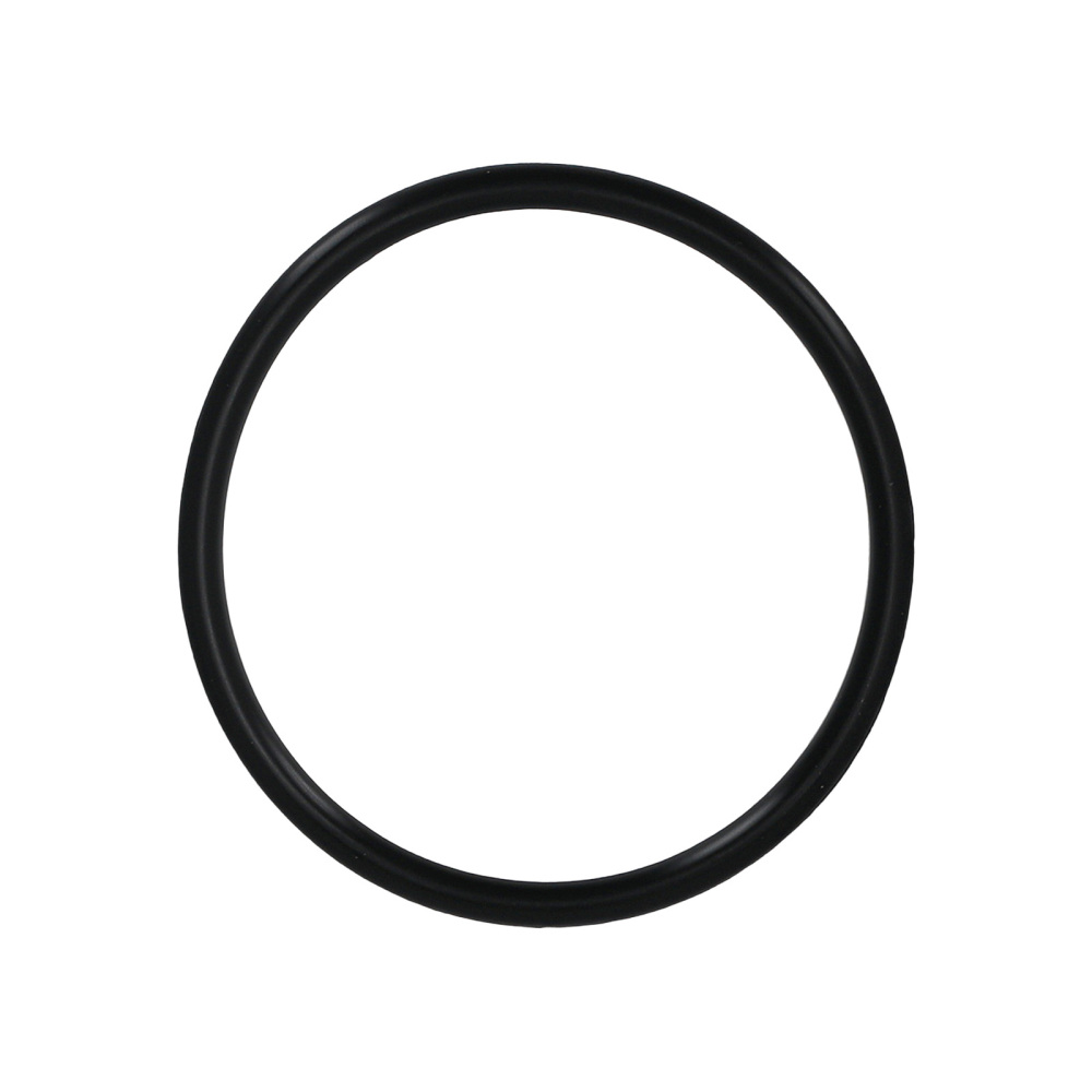 Electric Fuel Pump Module for 2002-2004 compatible for Holden Commodore VY V6 3.8L 25324947