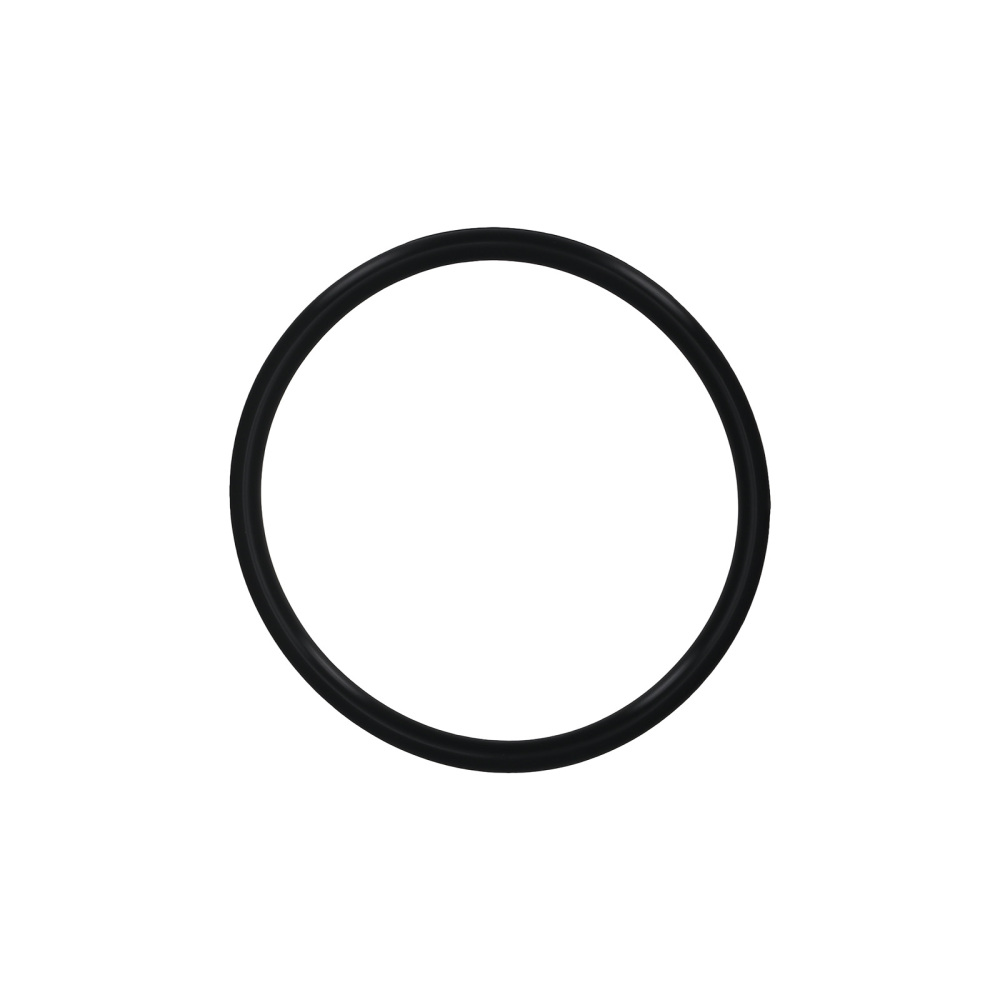 Fuel Pump Module Assembly compatible for Holden Commodore VY VZ Ute 5.7L 2002-2006 92159905