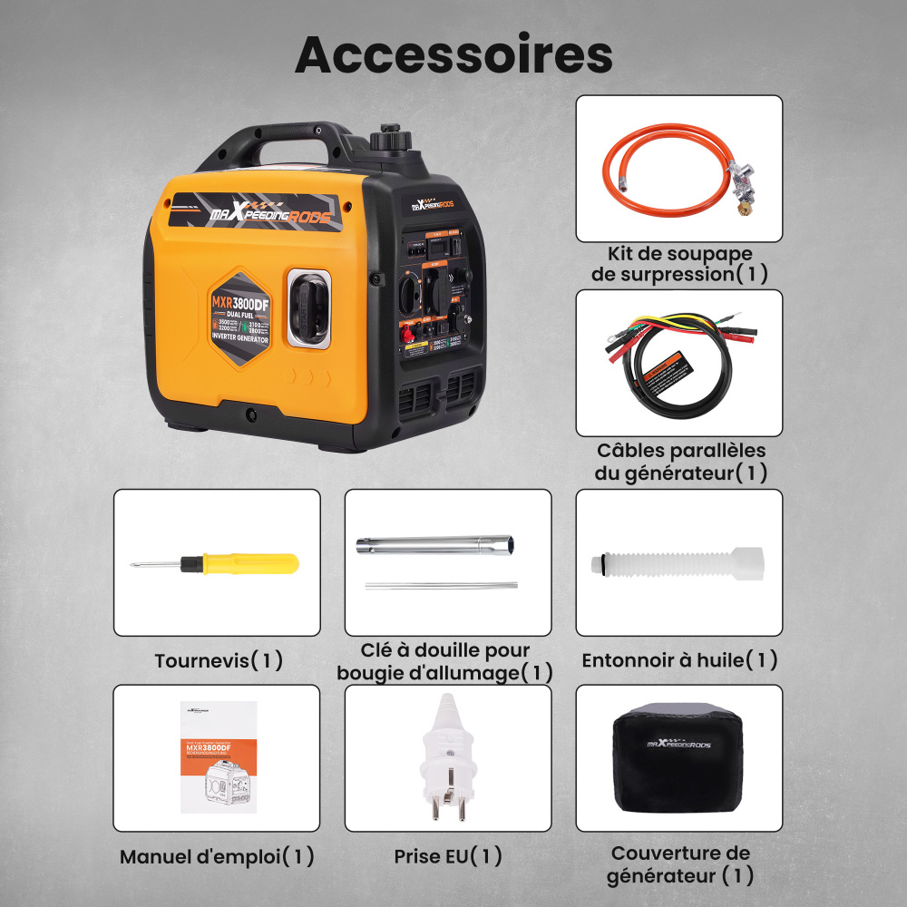 Generatore Inverter Portatile BenzinaLPG 3,2 Kw USB Connettori for Campeggia